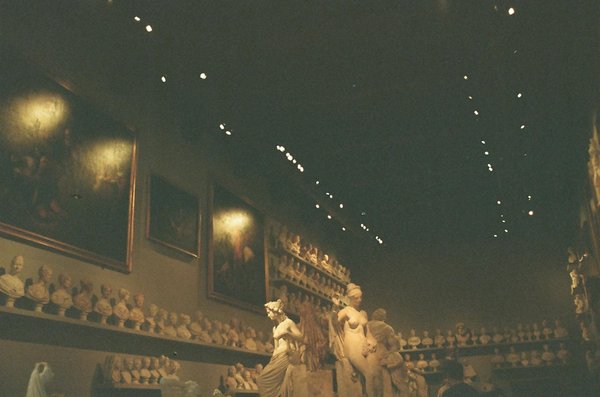 Expert en désinsectisation : adoptez des solutions vertes !